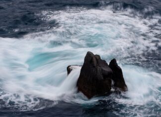 Jaka cena kantówki?