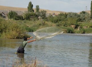 Z jakiej liny zrobić siatkę wspinaczkową?