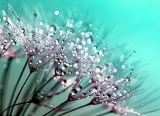 Czy kropelka sklei oponę? Czy kropelka sklei oponę?