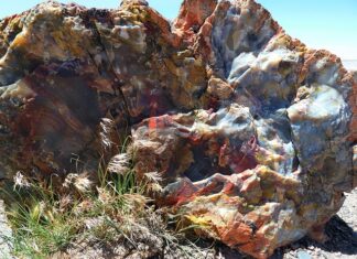 Ile kosztuje Silikonowanie kabiny prysznicowej?