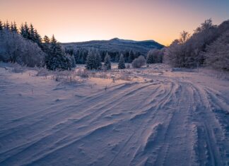 Czy opony Bezdętkowe są lepsze? Czy opony Bezdętkowe są lepsze?