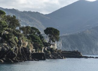 Ile kosztuje kantówka 7x7?