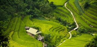 Jaka izolacja rur Spiro?